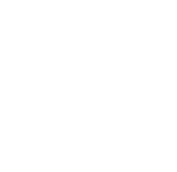 Apogeo Group