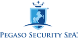 Pegaso Security